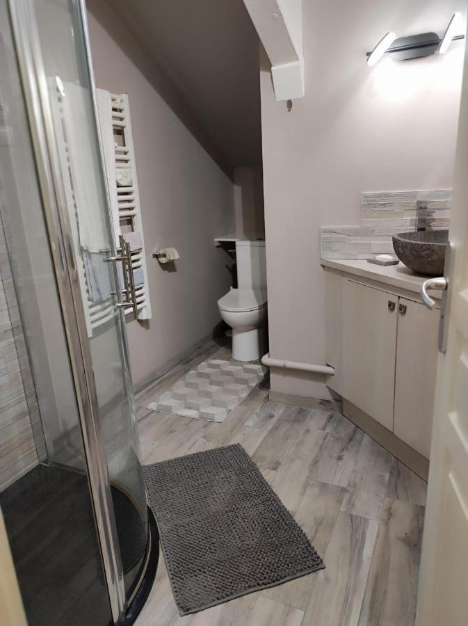 Location T2 Proche Annecy Apartment Meythet Exterior foto